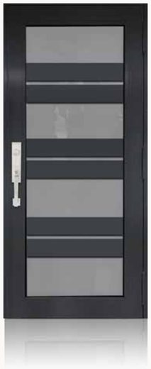 Single Bronze № 15 — decorative door panel design TD-SD-B15