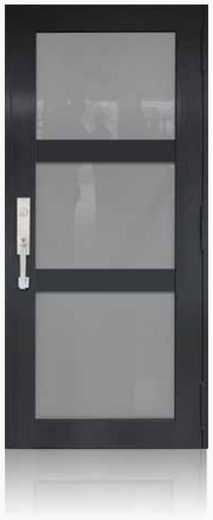 Single Bronze № 42 — decorative door panel design TD-SD-B42