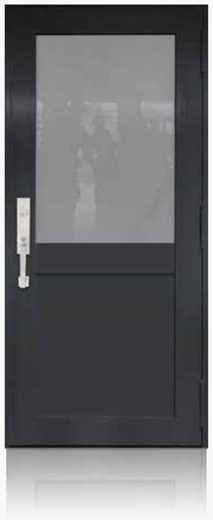 Single Bronze № 54 — decorative door panel design TD-SD-B54